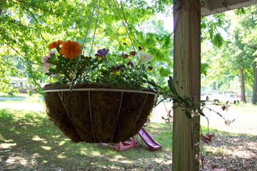 My Flowers