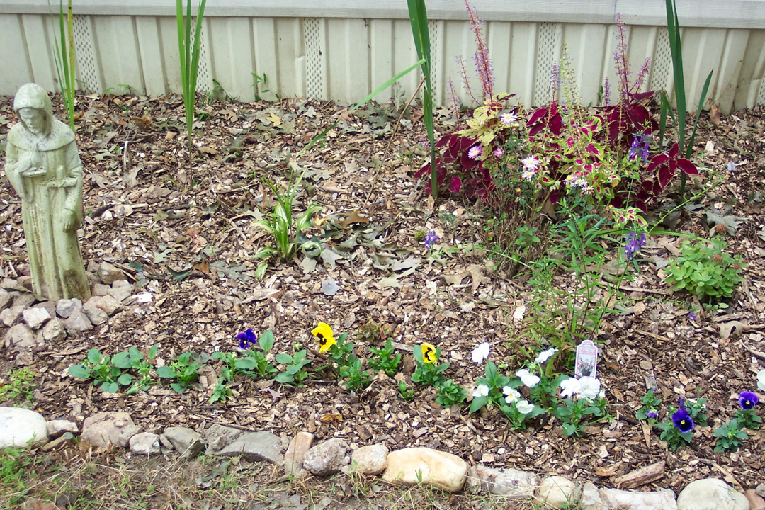 My Flowers