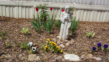 My Flowers