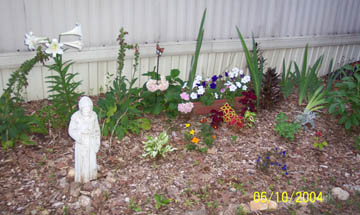 My Flowers