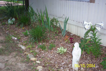 My Flowers