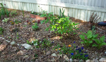My Flowers
